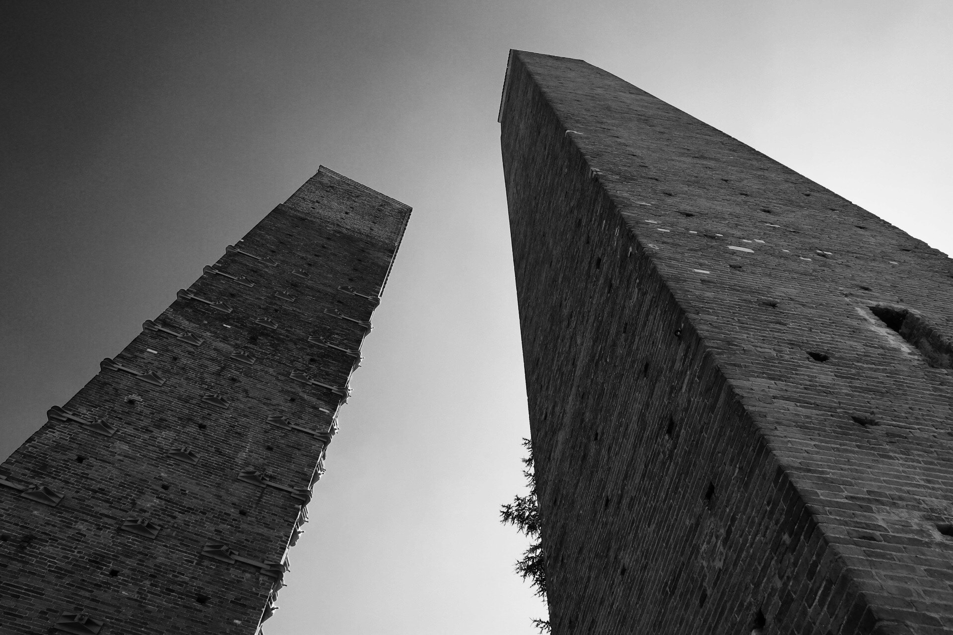 Canon 17-50mm sample photo