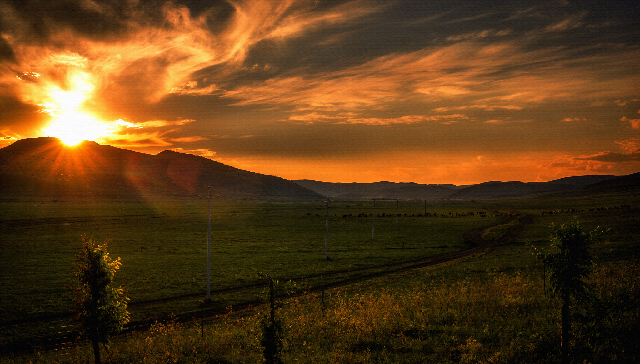 Summicron-M 1:2/90 Leitz sample photo. Fire in the sky photography