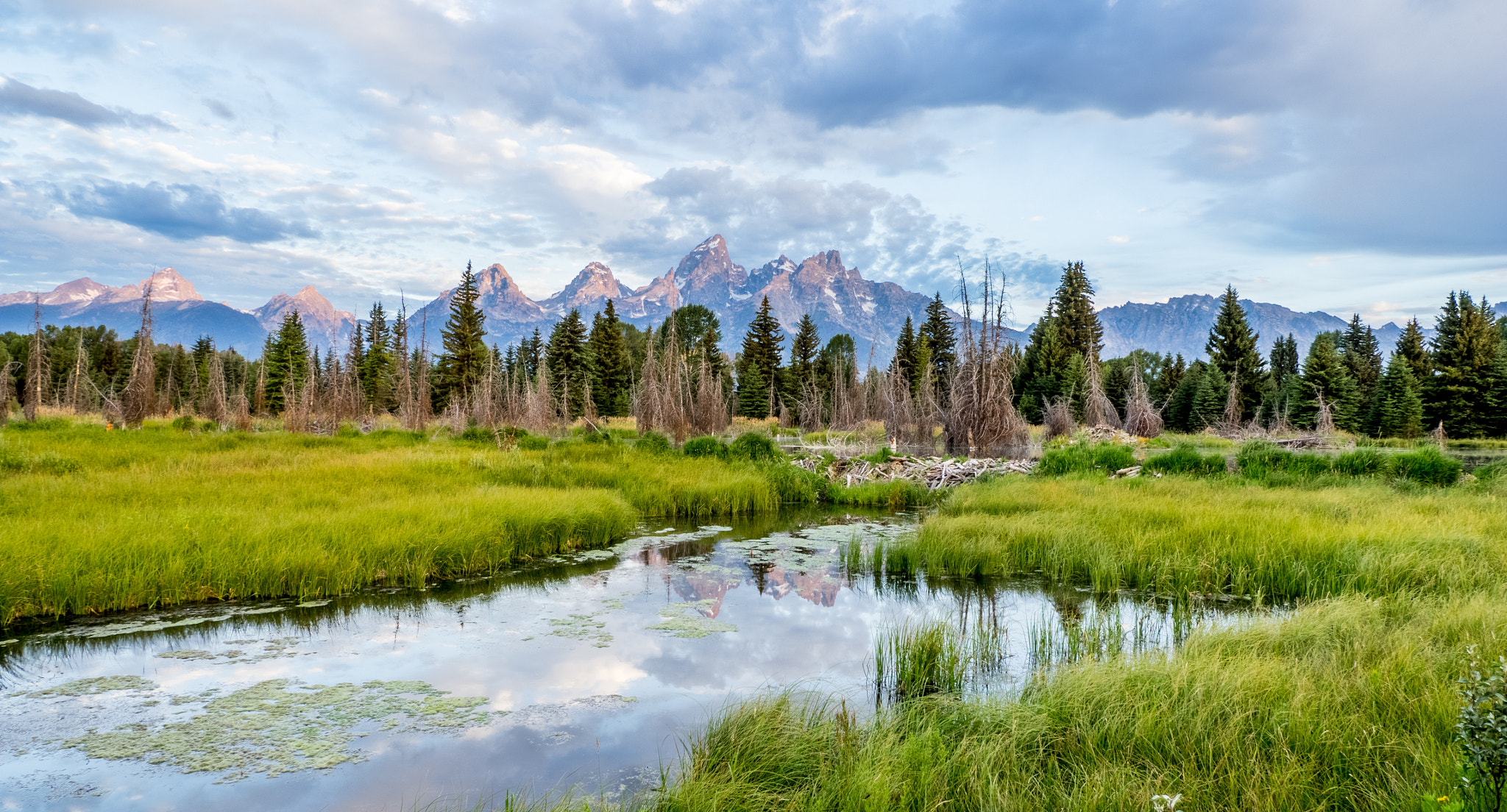 Olympus OM-D E-M1 + OLYMPUS 11-22mm Lens sample photo. Breathtaking view of the grand tetons photography