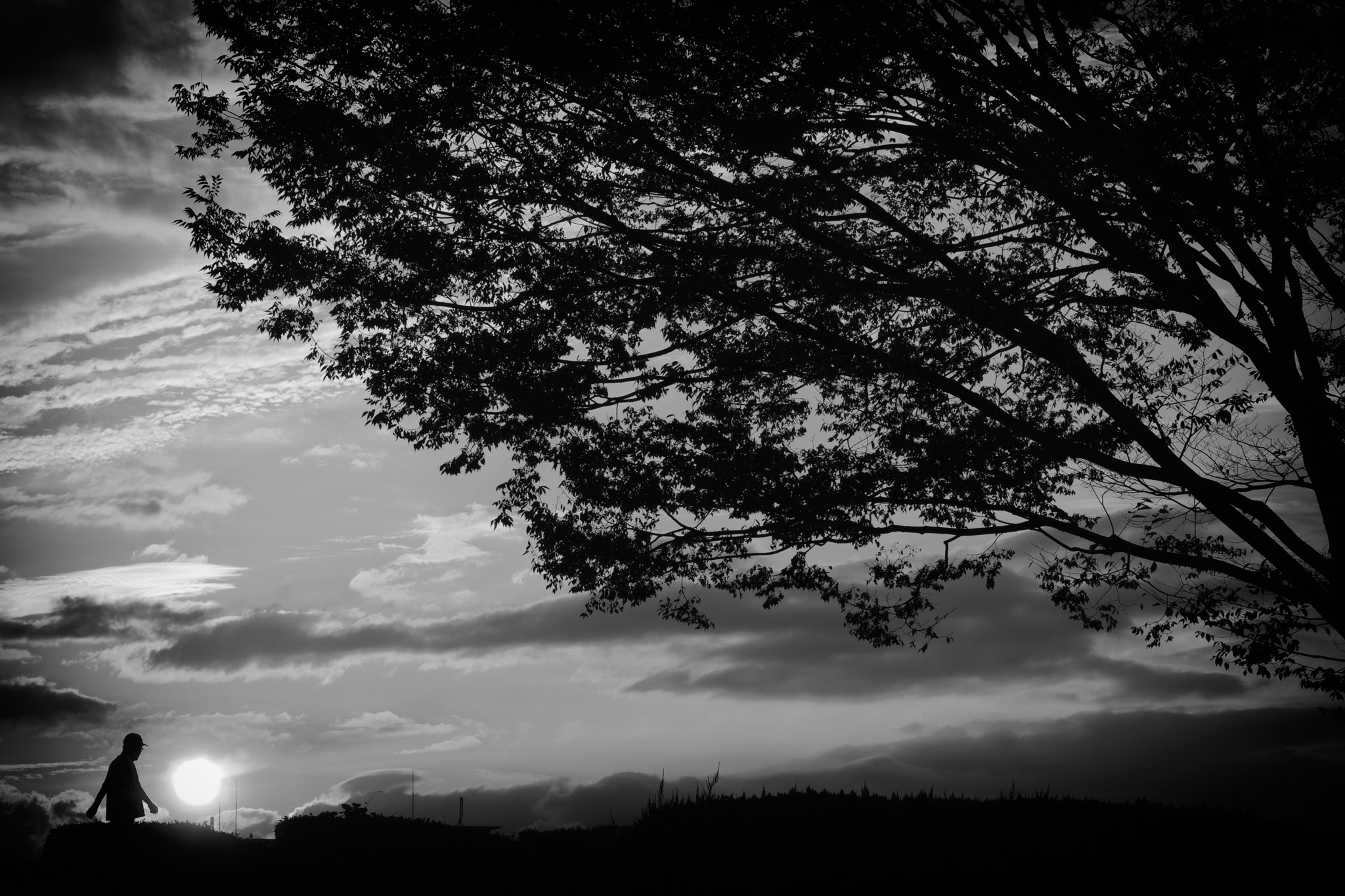 Leica APO-Vario-Elmarit-SL 90-280mm F2.8–4 sample photo. Sunset photography