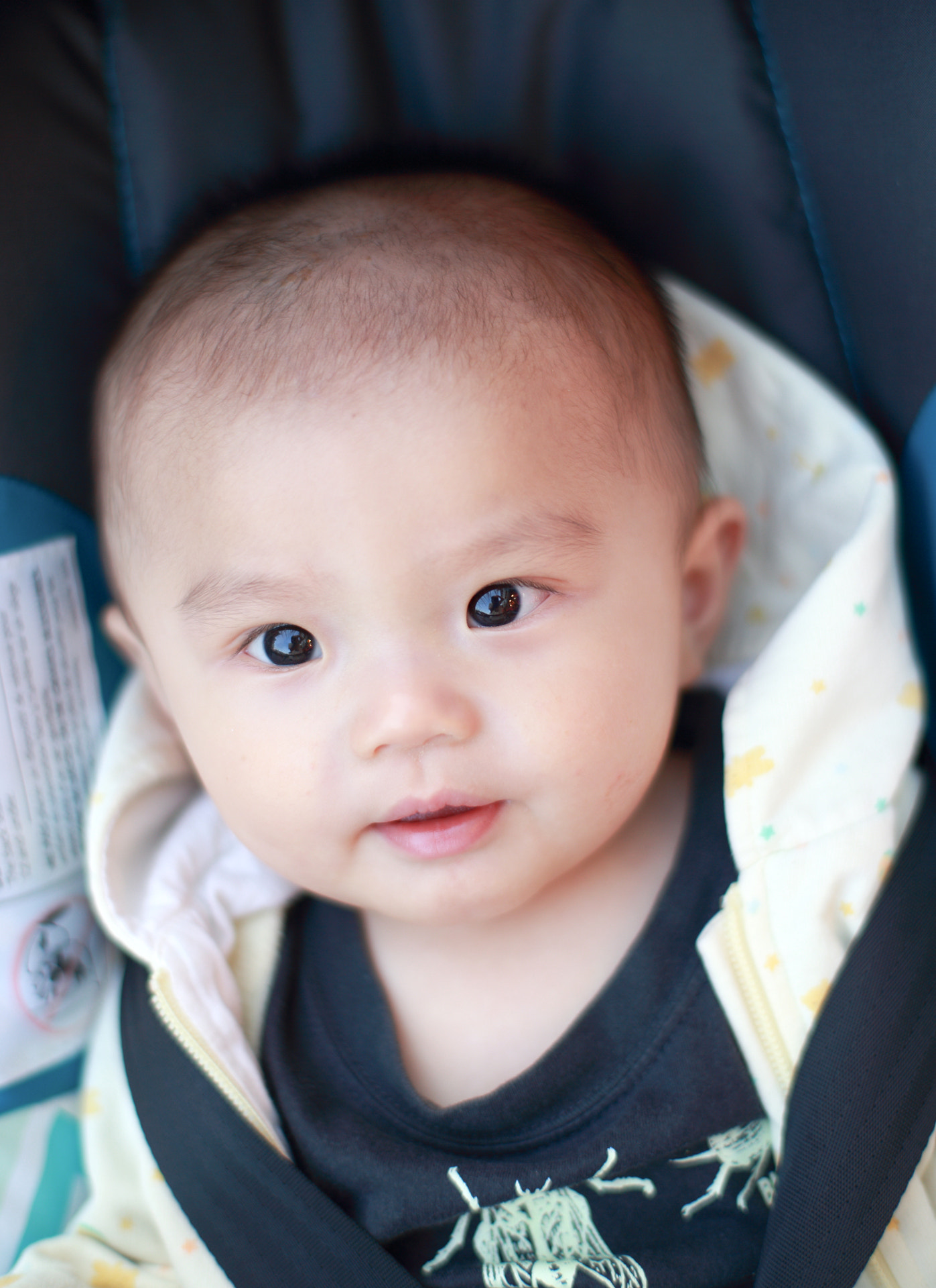 ZEISS Planar T* 50mm F1.4 sample photo. Son photography