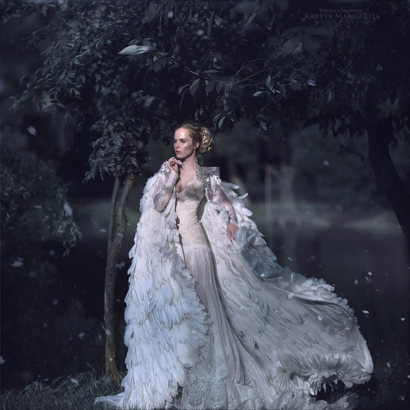 swan