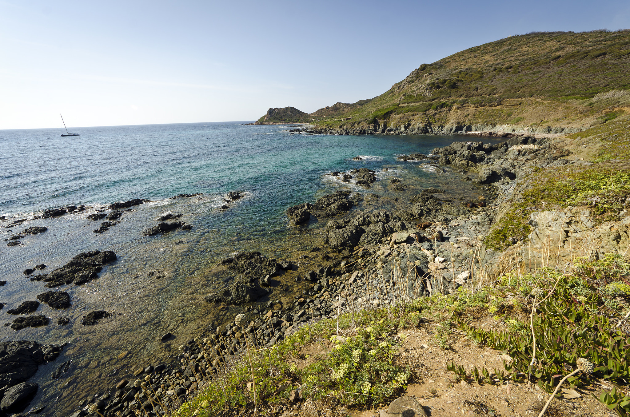 Sigma 8-16mm F4.5-5.6 DC HSM sample photo. Corse photography