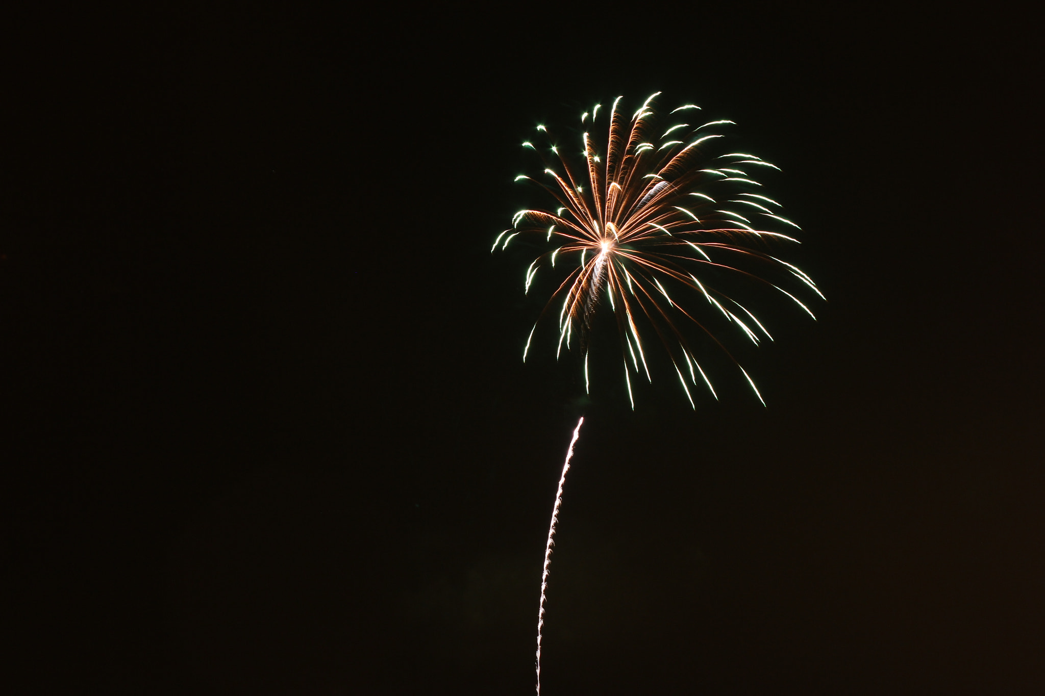 Canon EF 28-200mm F3.5-5.6 USM sample photo. Firework flower photography