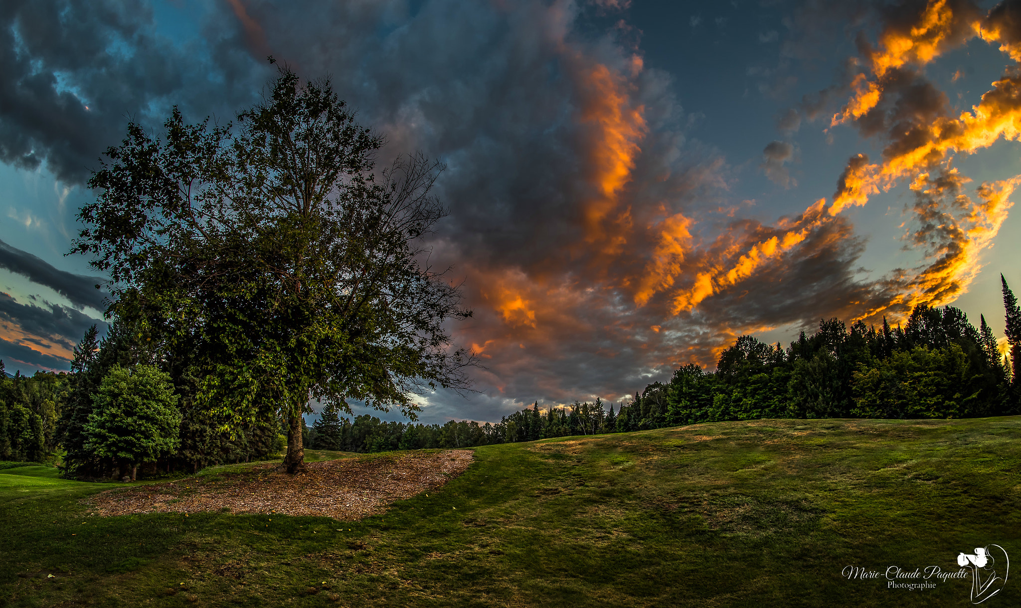 Nikon D810 + Samyang 12mm F2.8 ED AS NCS Fisheye sample photo