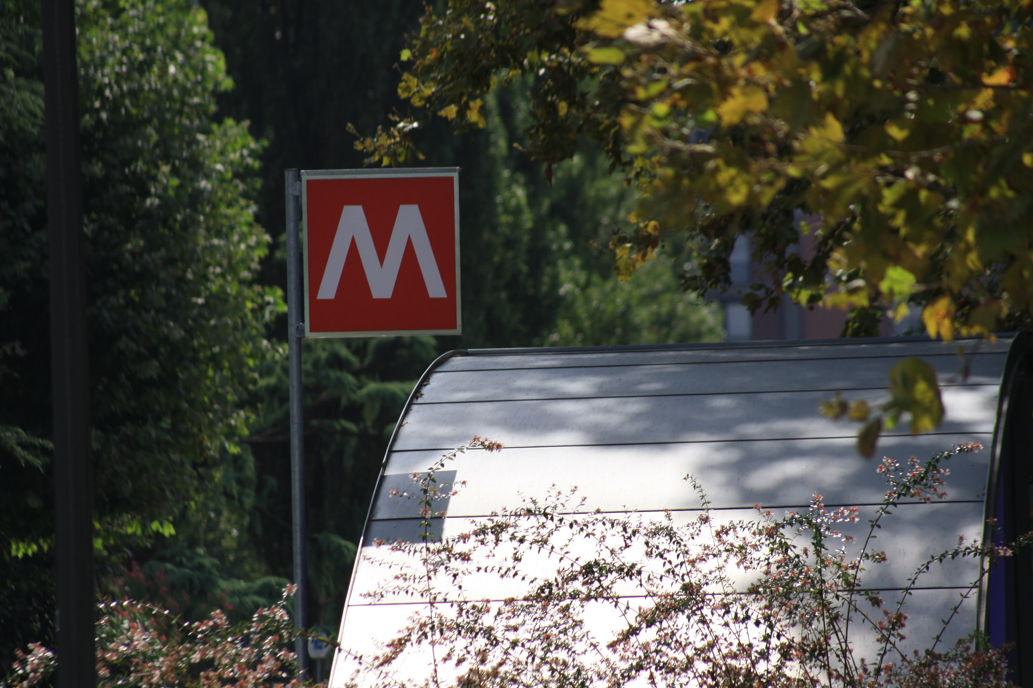 Sigma 70-300mm F4-5.6 APO DG Macro sample photo. Milan 4th day photography