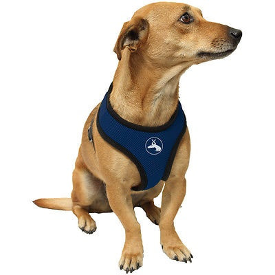 v2?sig=4584ed660e5f39145310349299bbc1f5d9fc1abb9942aa153eff8c4e5b1a77a3