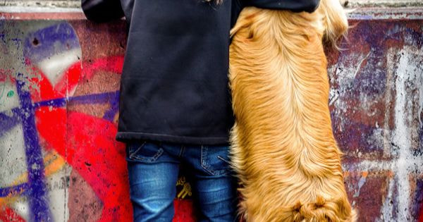 Pinned to I LOVE DOGS on Pinterest