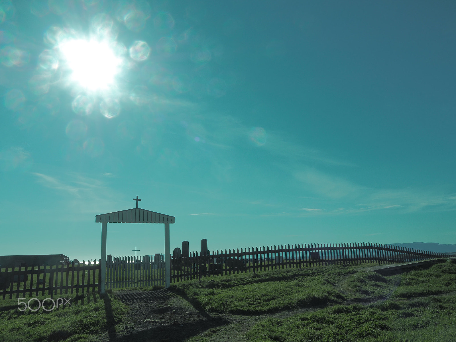 Olympus M.Zuiko Digital ED 14-150mm F4-5.6 sample photo. Iceland cemetery in the sun photography