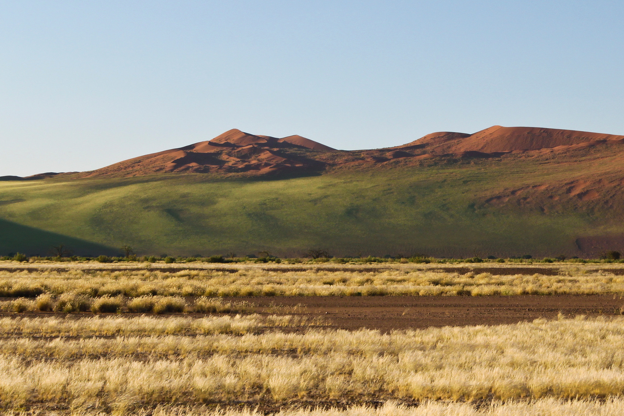 Sigma 18-200mm f/3.5-6.3 DC OS sample photo. Green dunes – namibia photography