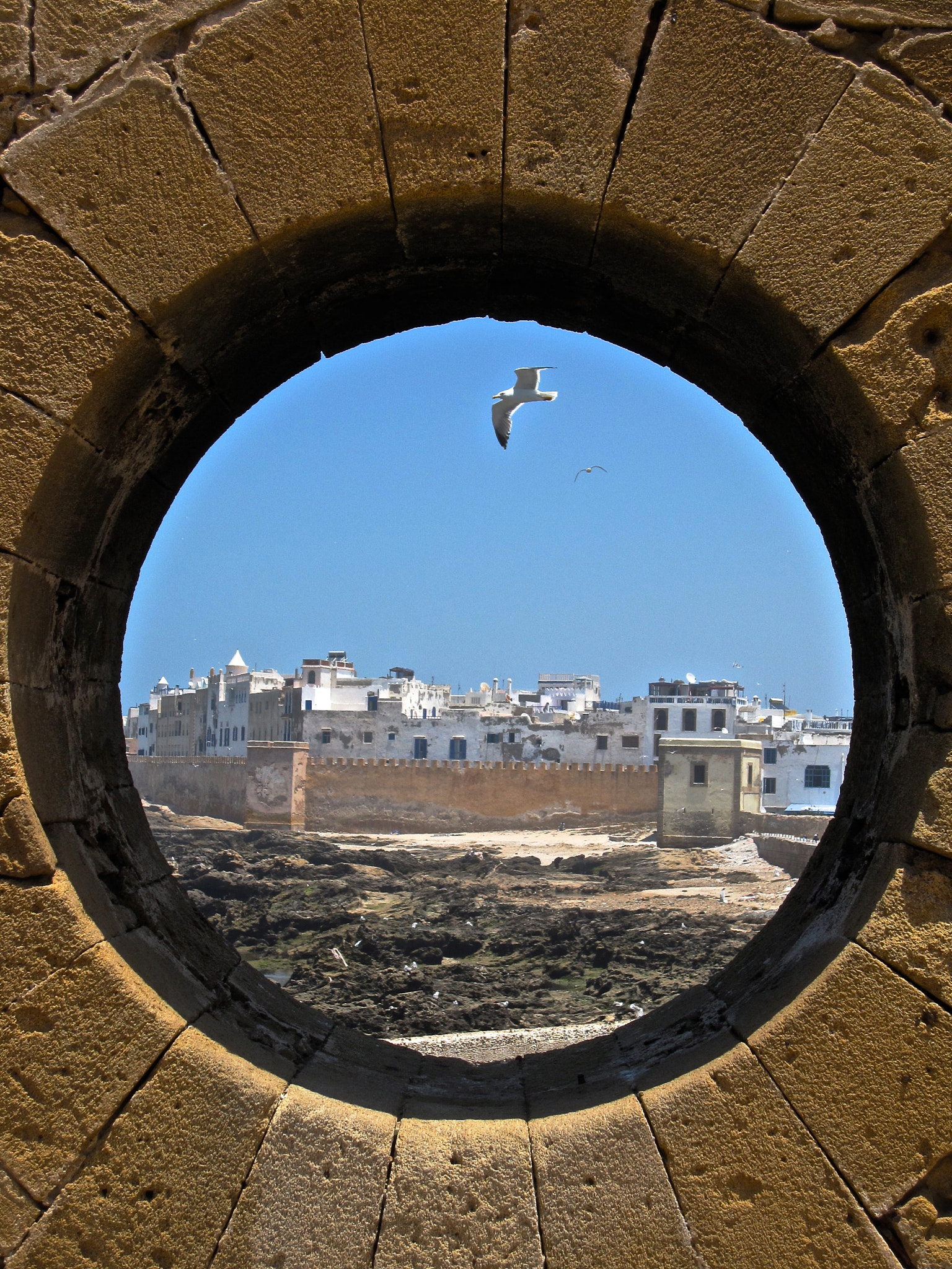 Canon PowerShot SD880 IS (Digital IXUS 870 IS / IXY Digital 920 IS) sample photo. Essaouira photography