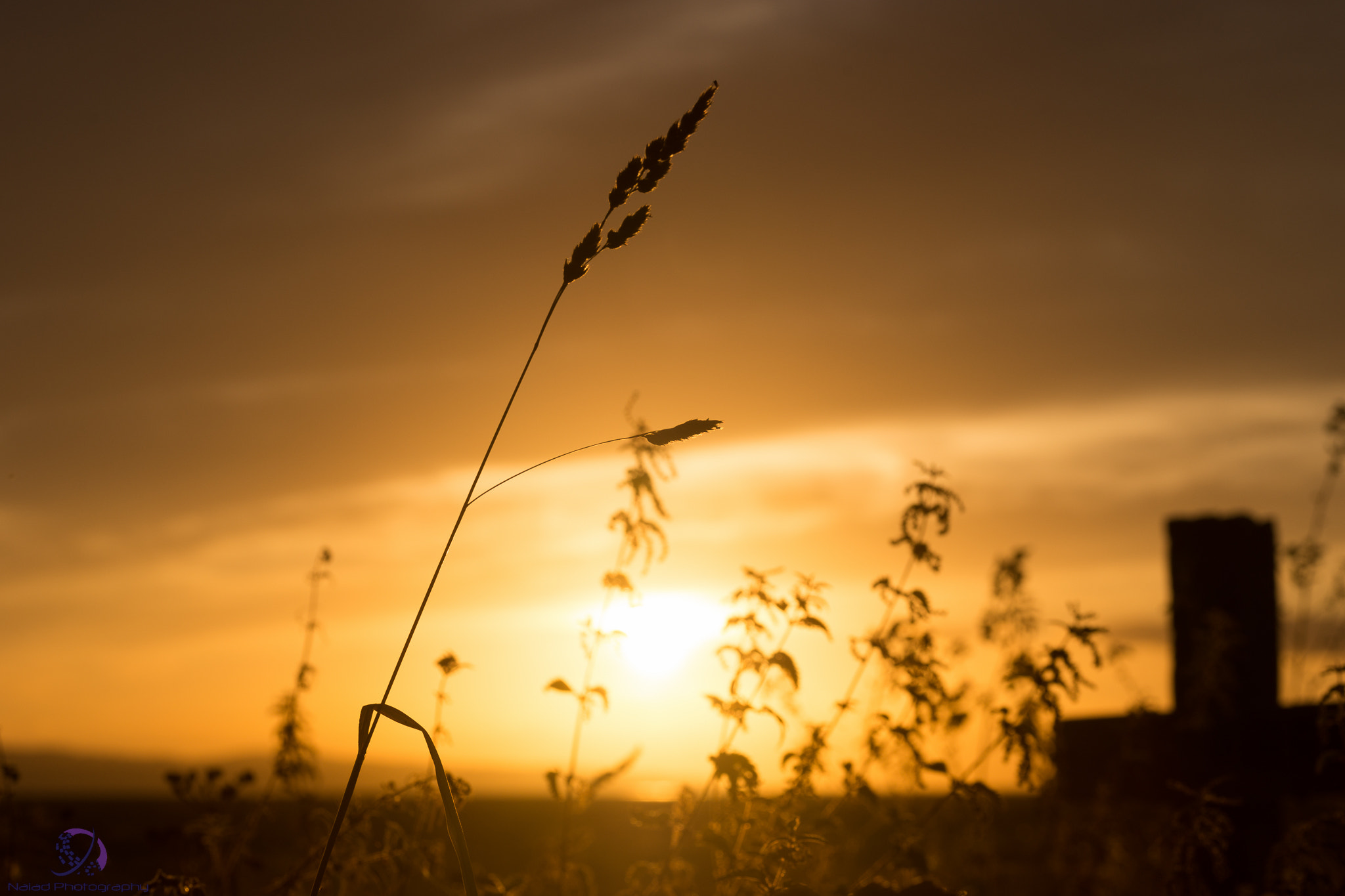 Sony a99 II + Tamron SP AF 90mm F2.8 Di Macro sample photo. Sunset over wales from parkgate. photography