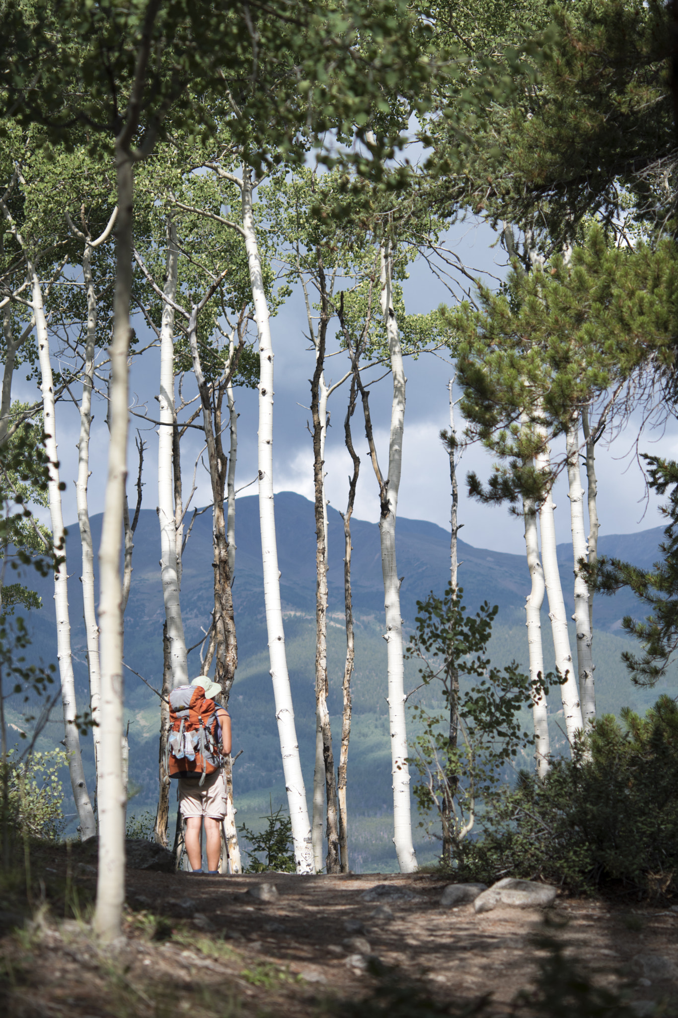 Nikon AF-S Micro-Nikkor 60mm F2.8G ED sample photo. Aspen view photography