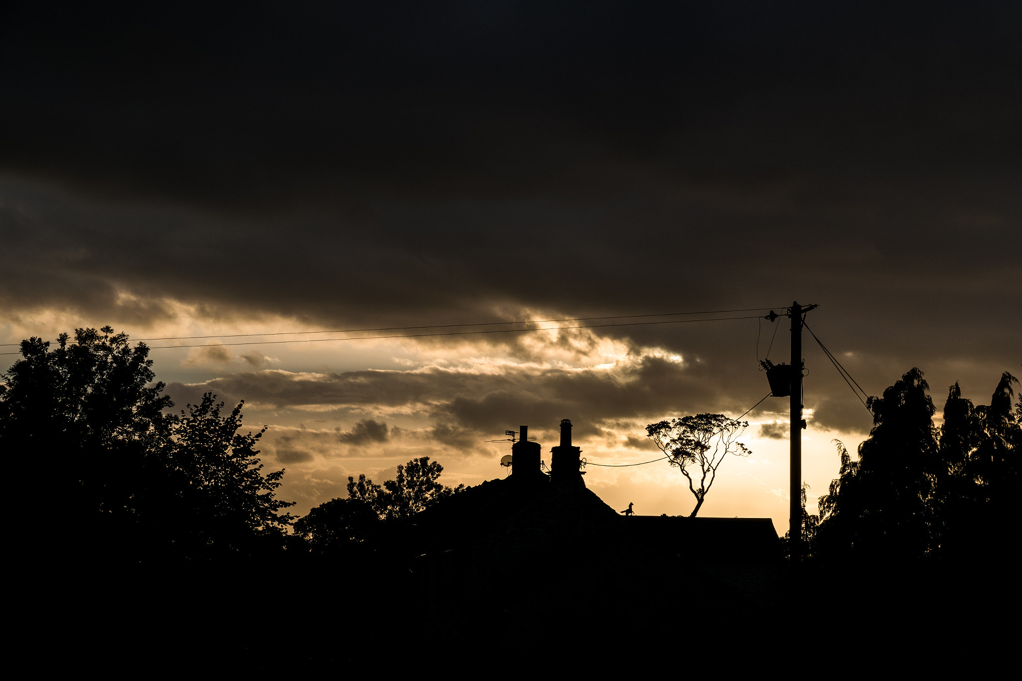 Horse on the Roof