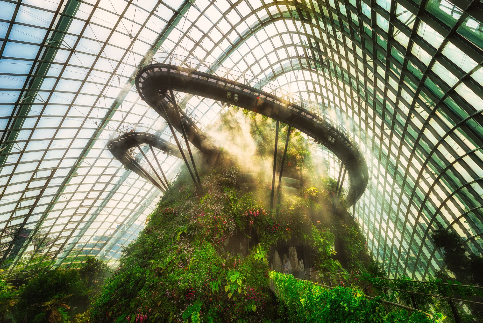 Cloud Forest | Singapore