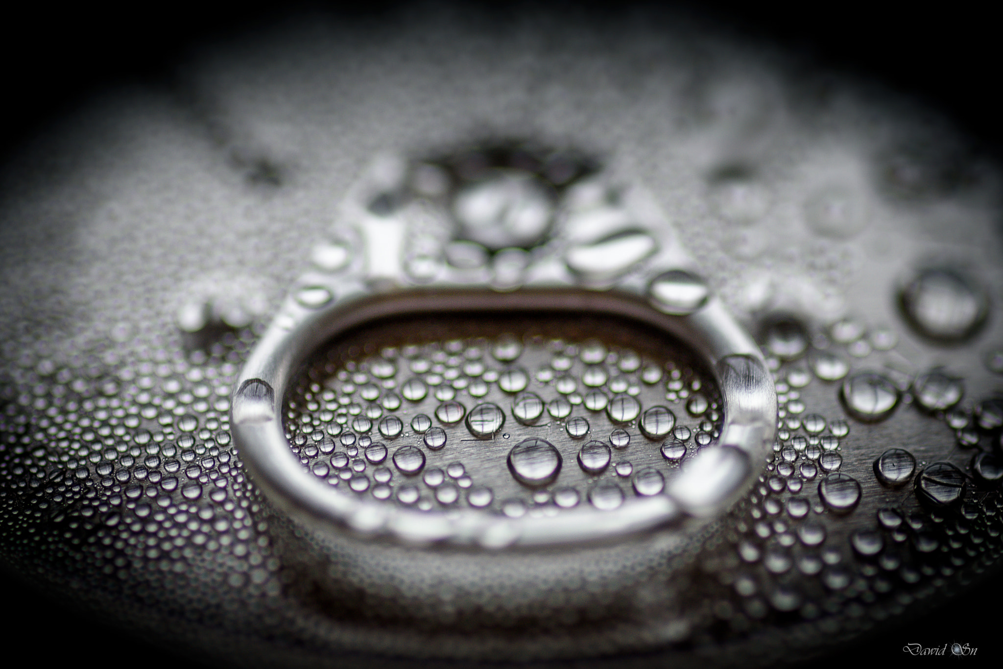 Nikon D750 sample photo. Droplets photography