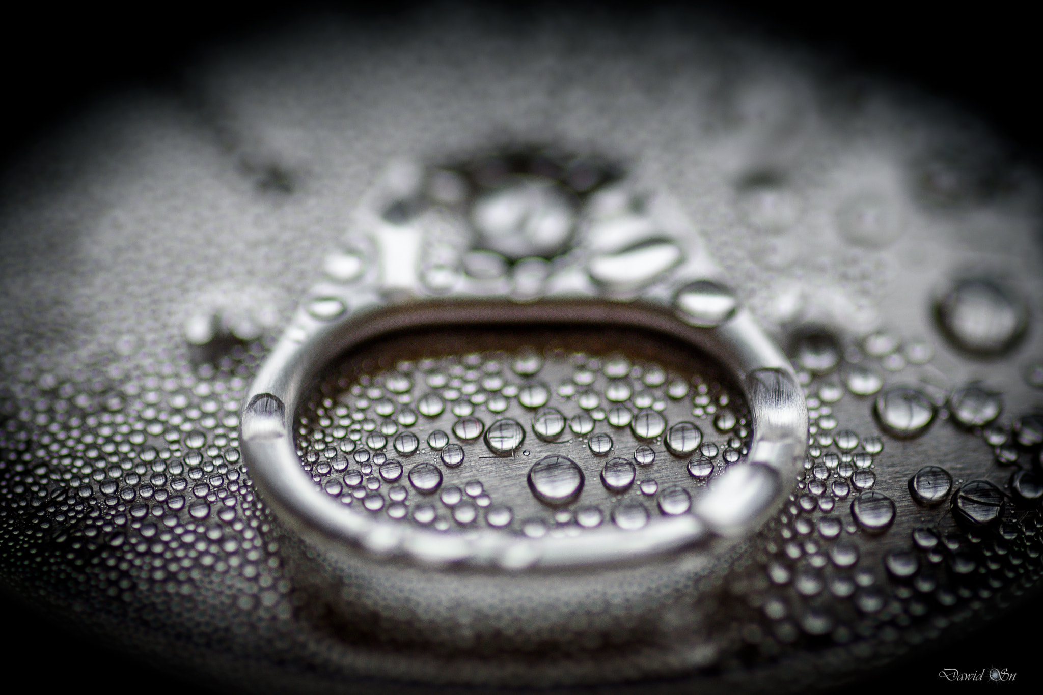 Tokina AT-X Pro 100mm F2.8 Macro sample photo. Droplets photography