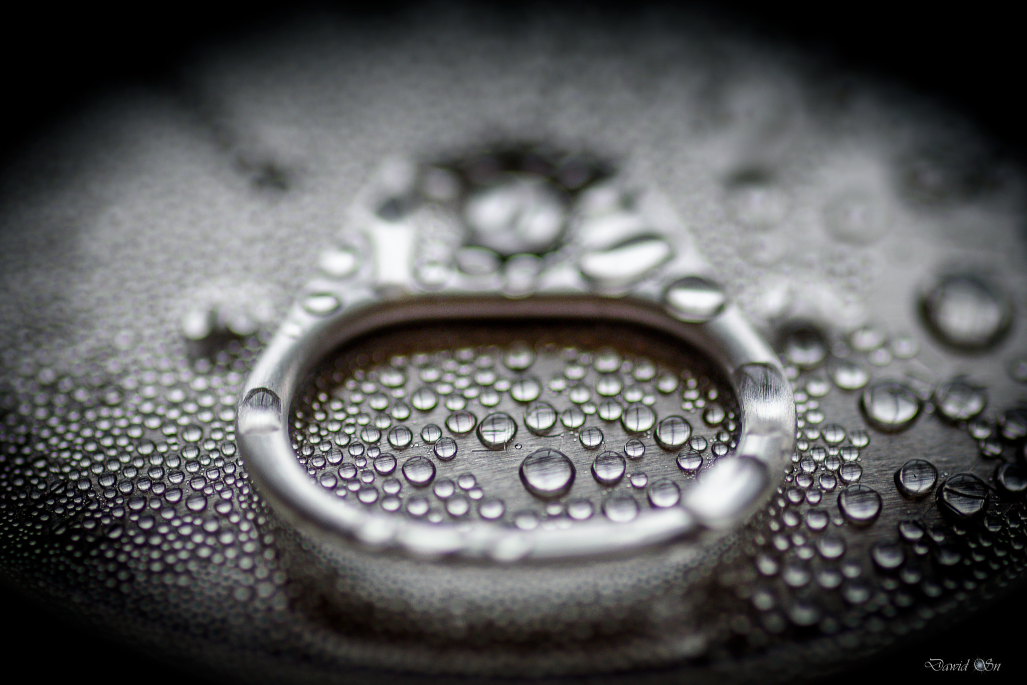 Nikon D750 + Tokina AT-X Pro 100mm F2.8 Macro sample photo. Droplets photography