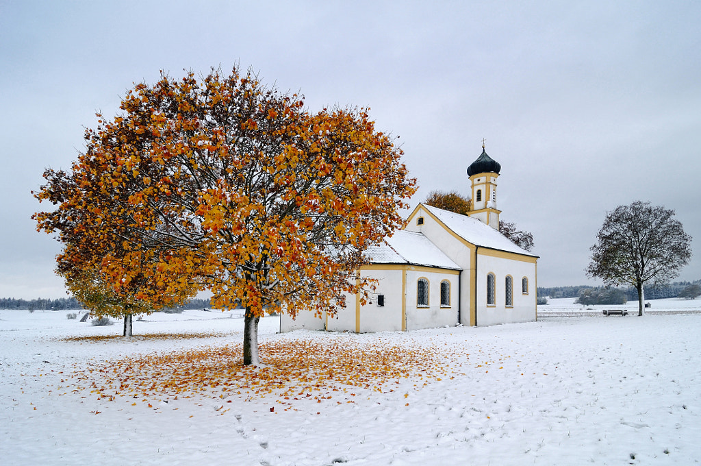 Snowy Autumn by Iliyan on 500px.com