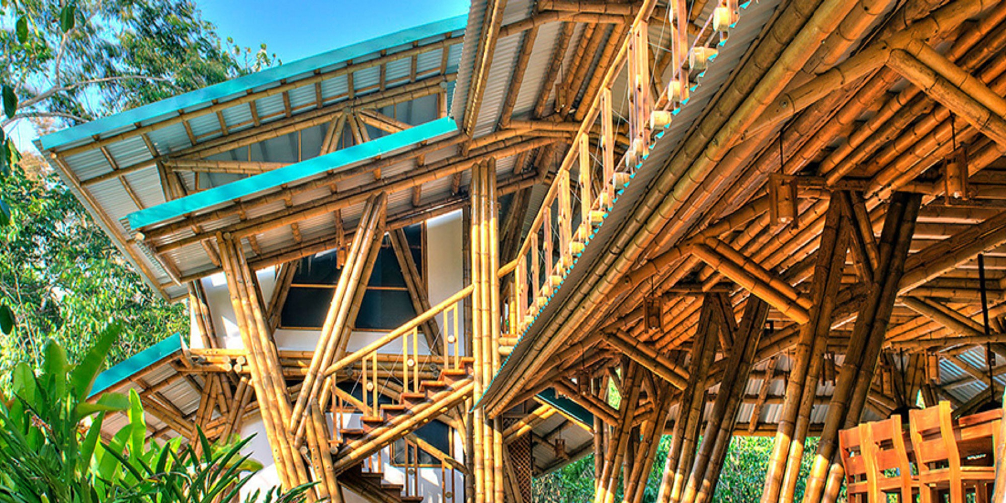 Guadua Bamboocostarica