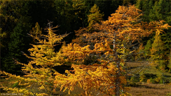 4k Bilder Herbst 3840x2160 In Hdr Curated By Karl Von Hilber 500px