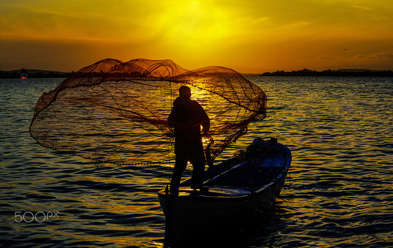 Pentax K-3 II sample photo. Fish catch photography