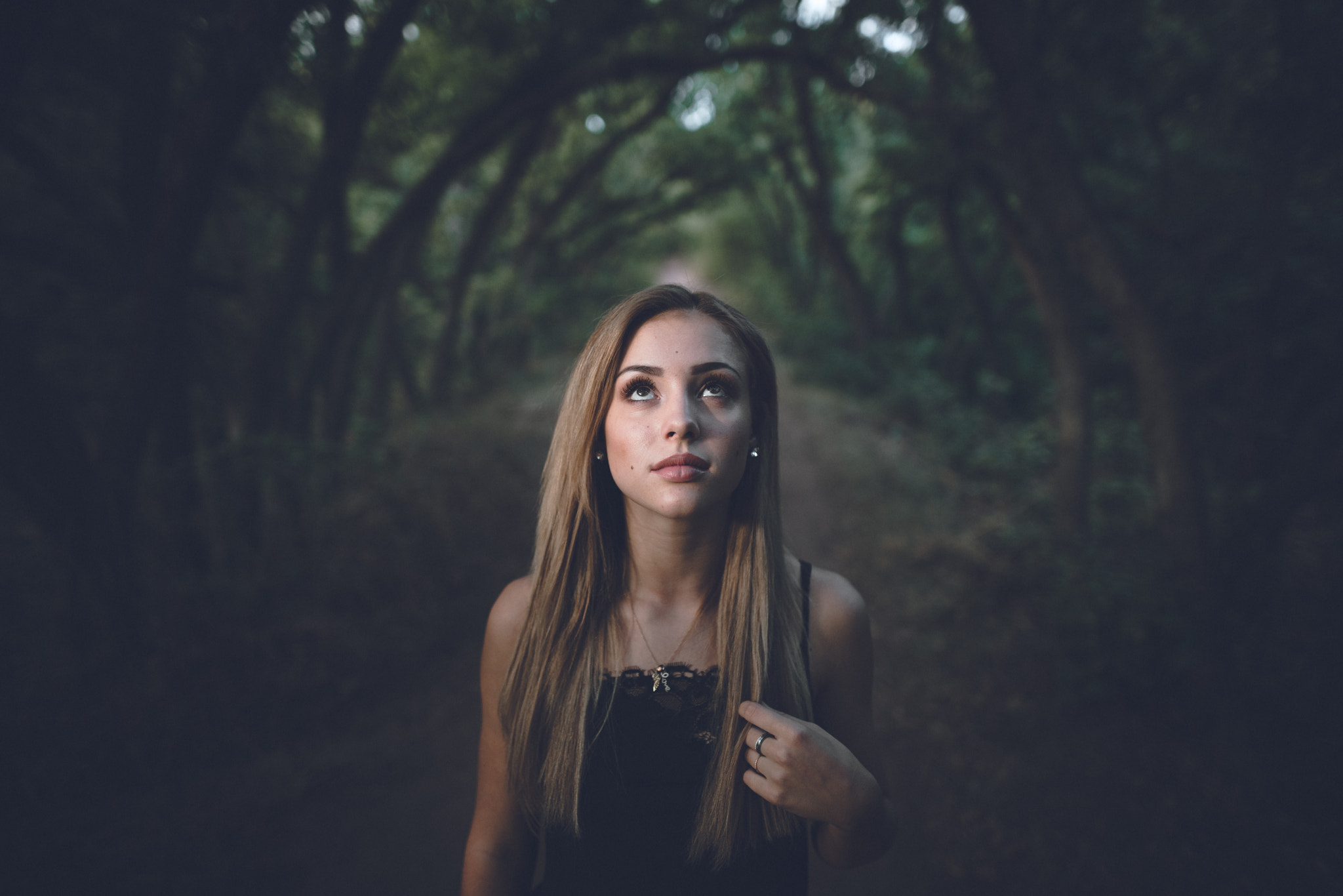 Sony a7R II + Sigma 24mm F1.4 DG HSM Art sample photo. Forest dweller photography