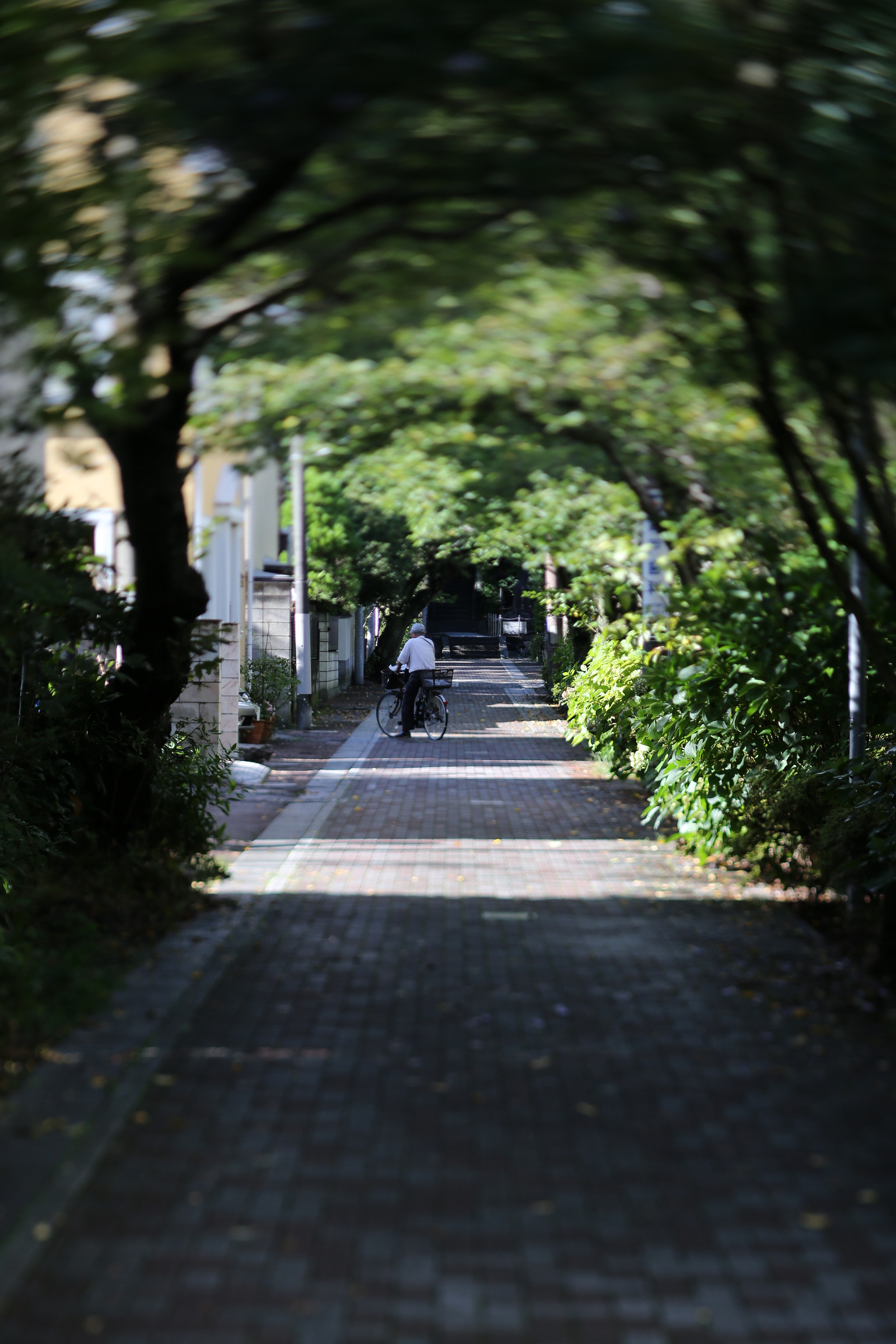 細道