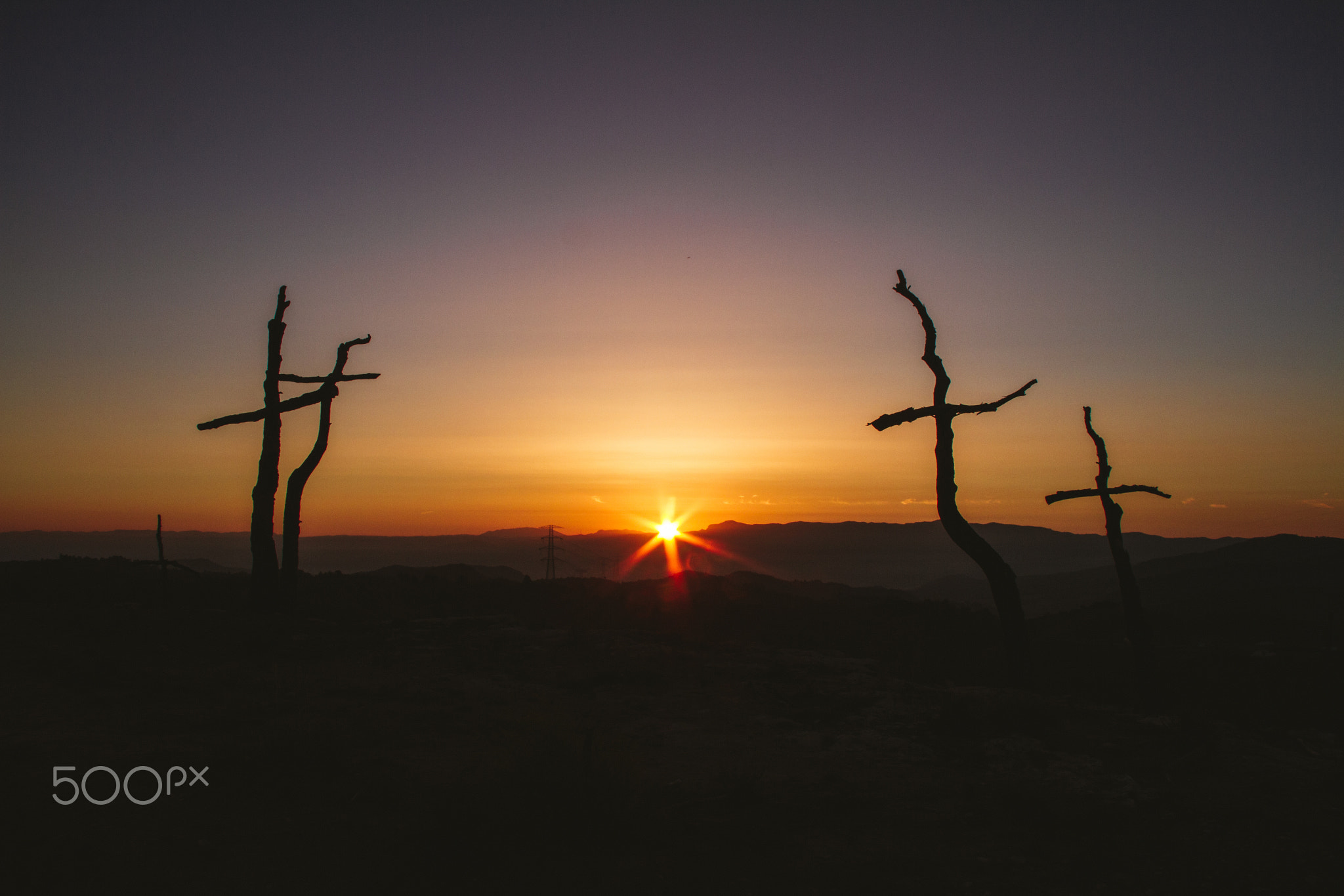 The forest of crosses / El bosc de les creus by Oscar Meléndez on 500px.com