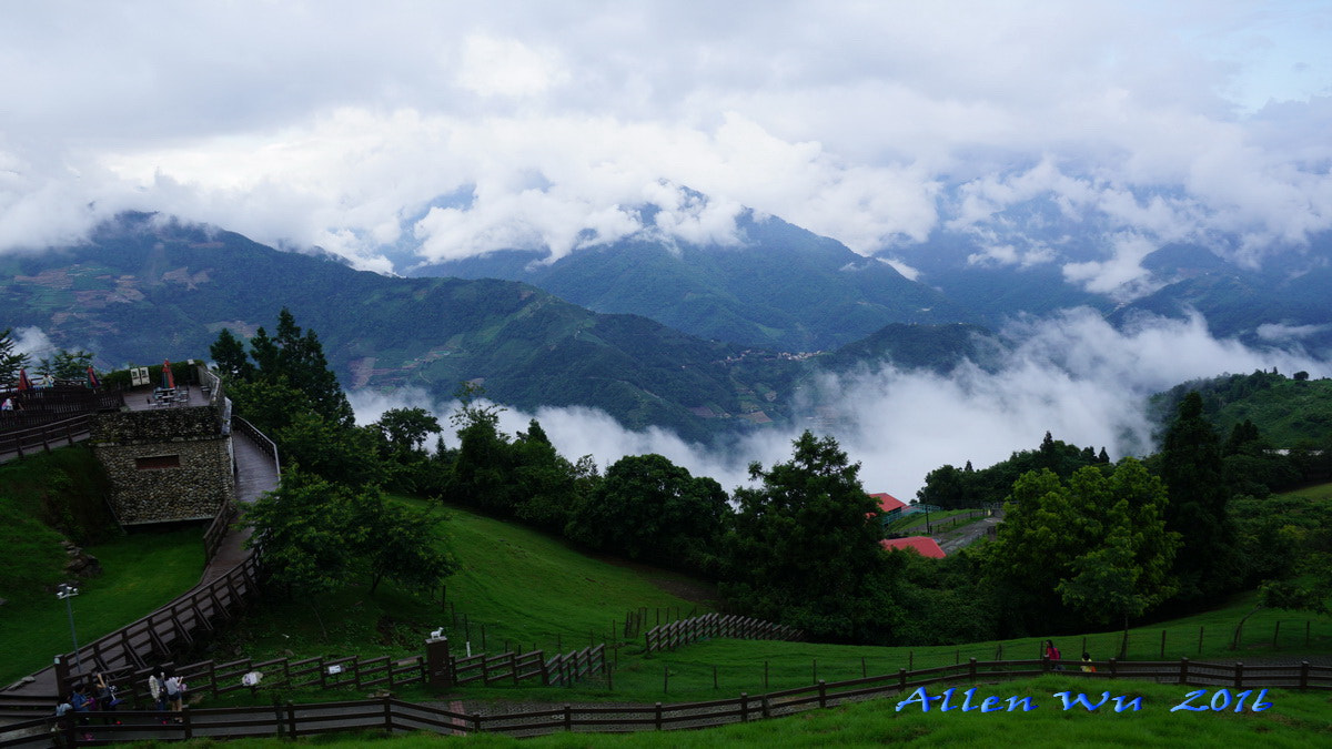 Sony DT 16-105mm F3.5-5.6 sample photo. 調整大小 photography