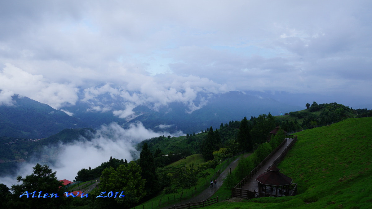 Sony DT 16-105mm F3.5-5.6 sample photo. 調整大小 photography