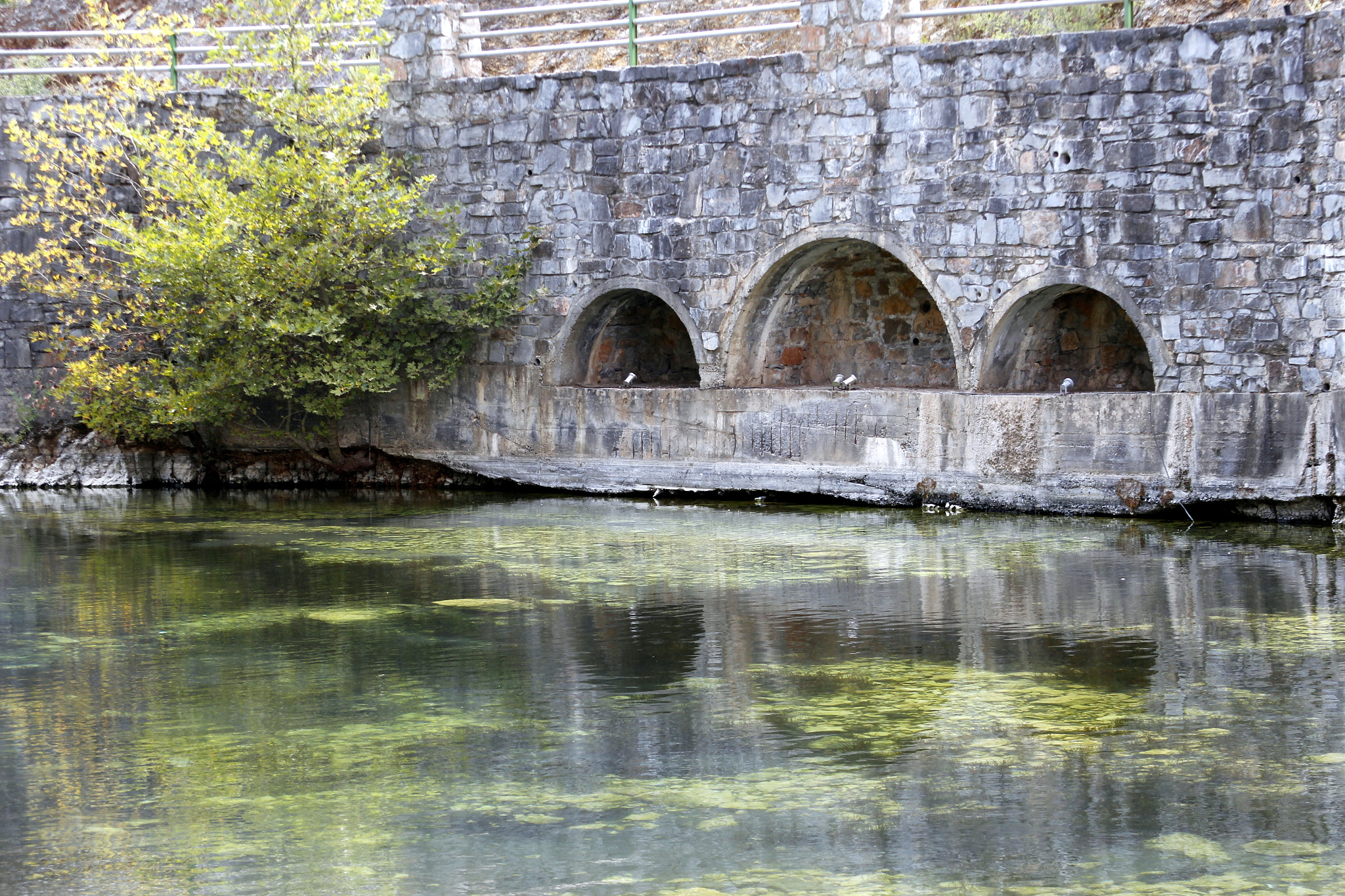 Canon EOS 550D (EOS Rebel T2i / EOS Kiss X4) sample photo. Evrotas river spring photography