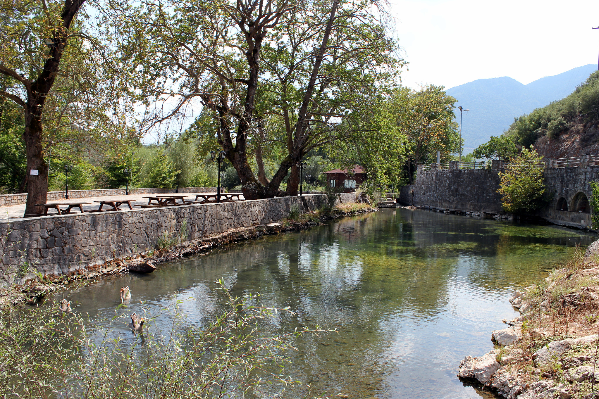 Canon EOS 550D (EOS Rebel T2i / EOS Kiss X4) sample photo. Evrotas river spring photography