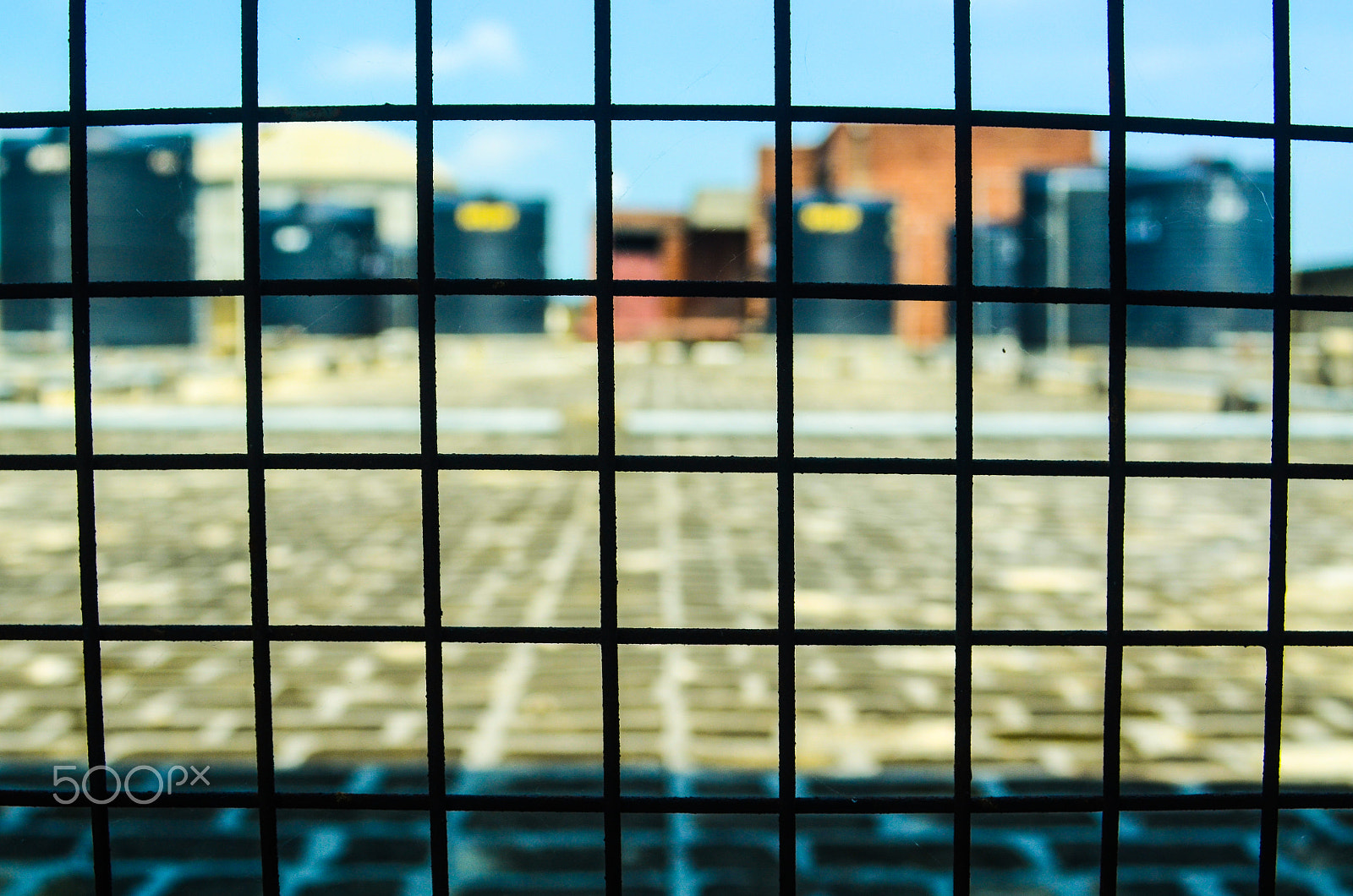 AF Zoom-Nikkor 28-80mm f/3.5-5.6D sample photo. The grid photography