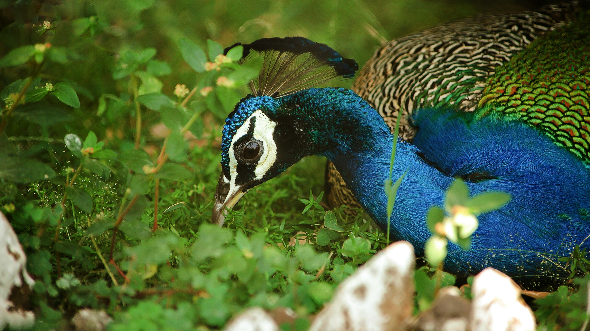 Nikon D70s sample photo. Royalty photography