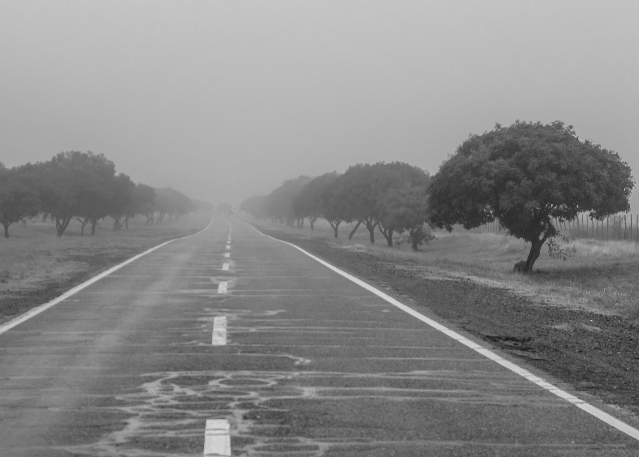 Nikon D3000 + Nikon AF Nikkor 50mm F1.4D sample photo. Entre niebla, al fondo: nada photography