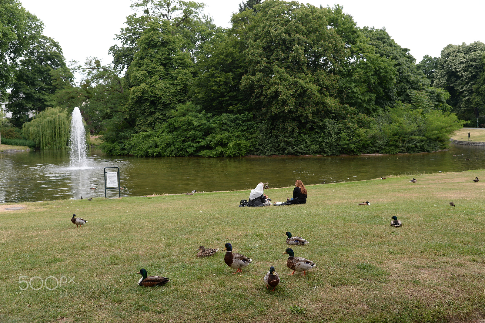 Nikon Df sample photo. Dsc photography