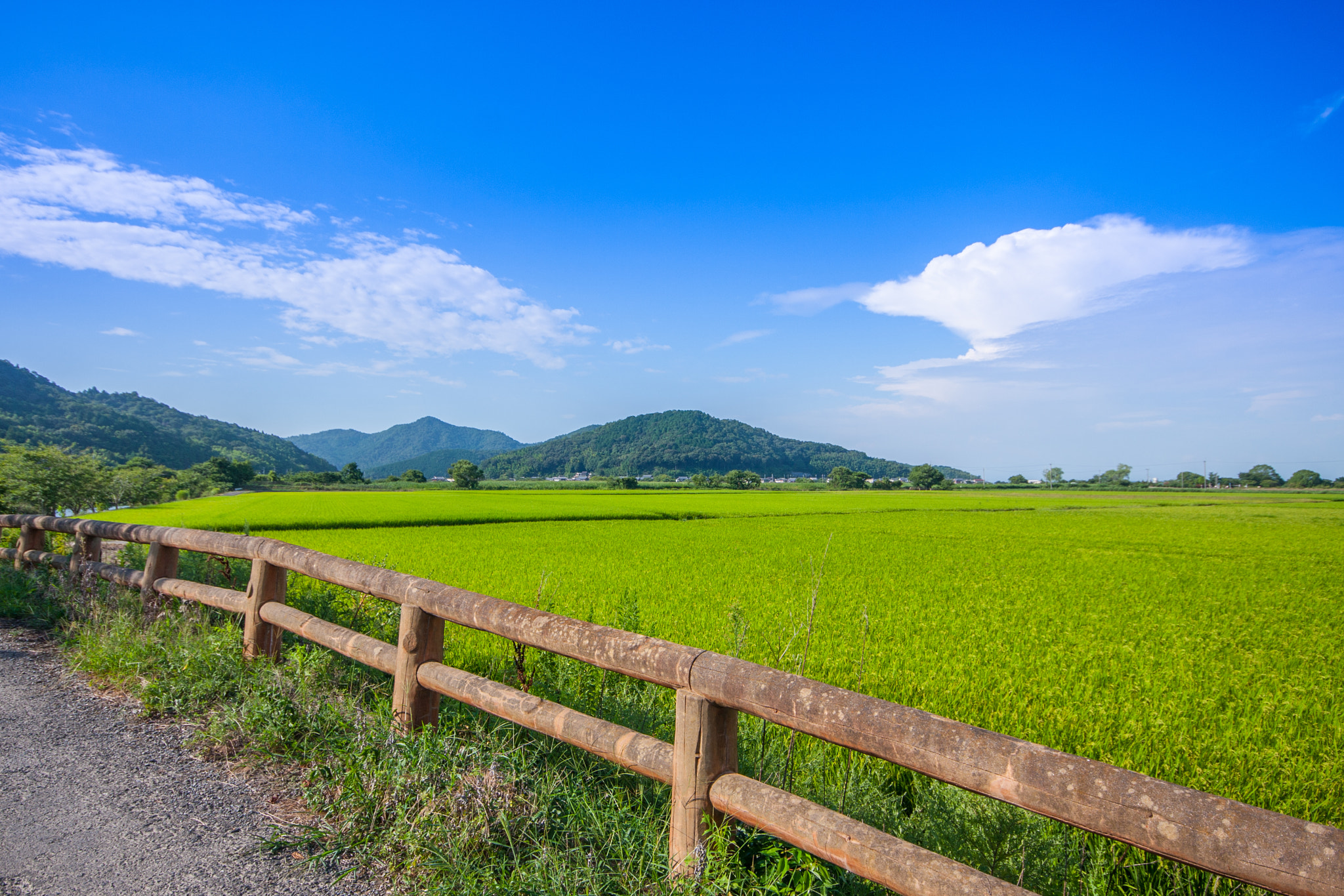Canon EOS 40D + Sigma 10-20mm F4-5.6 EX DC HSM sample photo. Rural scene@水郷めぐり 滋賀 photography