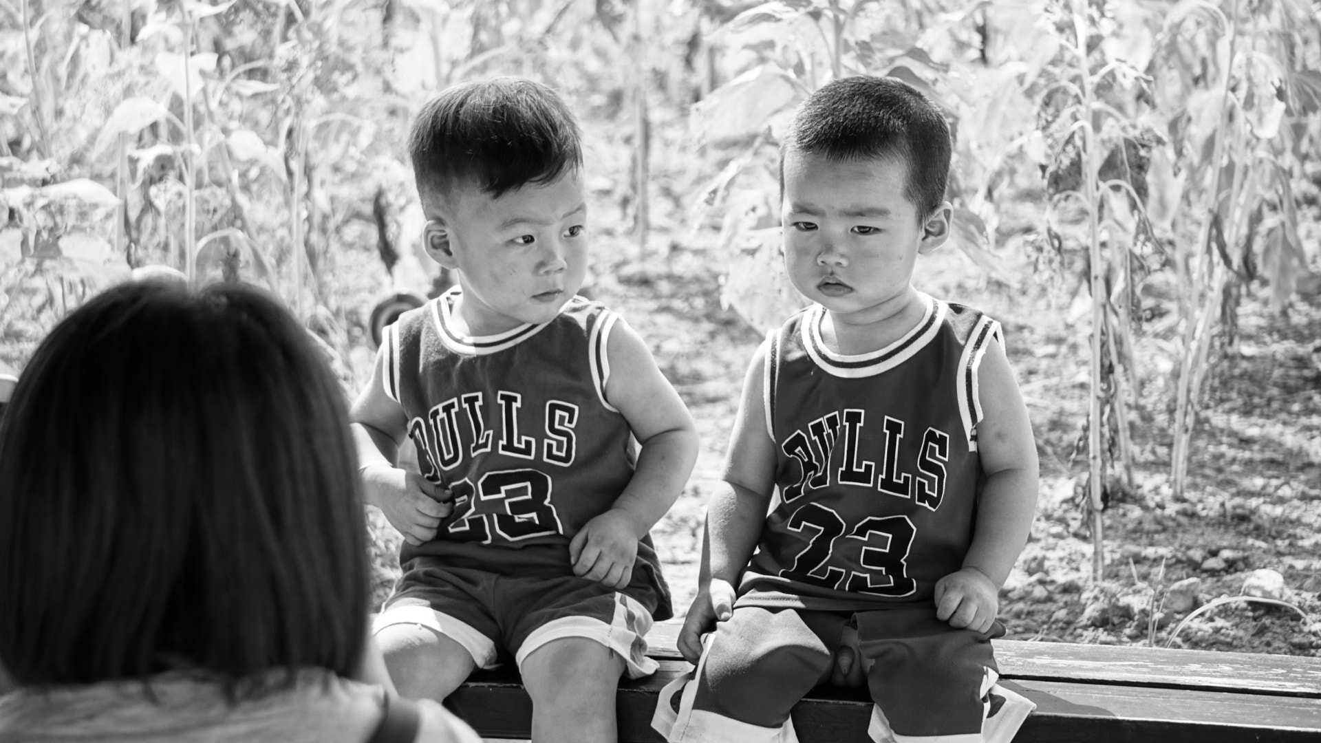 ZEISS Makro-Planar T* 100mm F2 sample photo. Brother photography