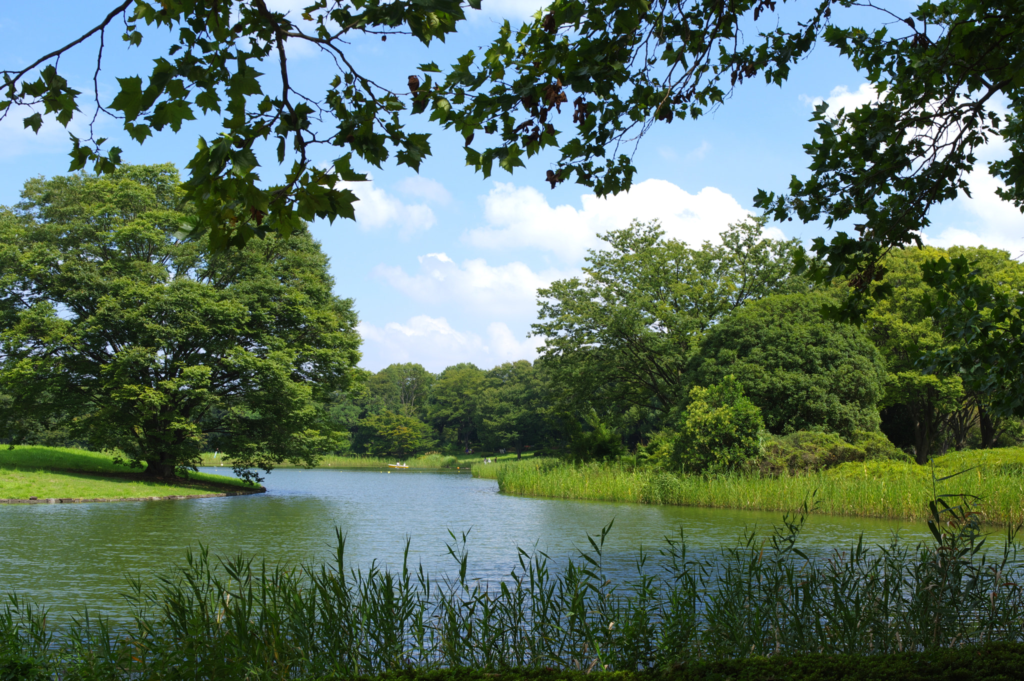 Pentax smc FA 31mm F1.8 AL Limited sample photo. It's a different world.... photography