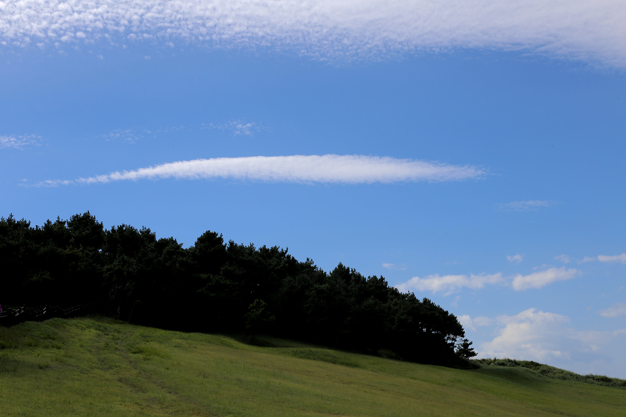 Canon EF 24-70mm F2.8L II USM sample photo