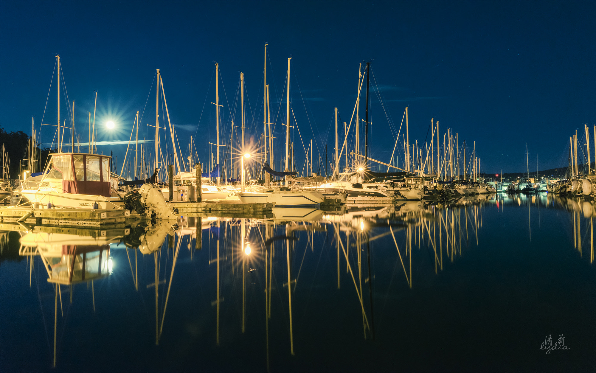 Sony FE 24-70mm F2.8 GM sample photo. Cap sante marina, anacortes wa photography