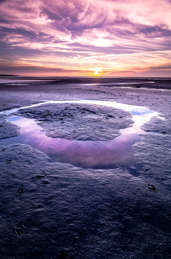 Tokina AT-X Pro 11-16mm F2.8 DX sample photo. The ring photography