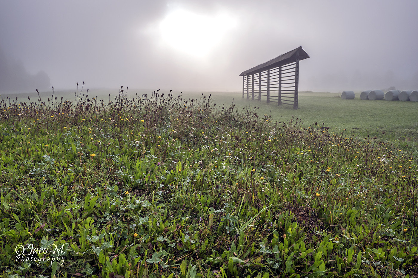 Olympus TG-1 sample photo. Morning mood photography