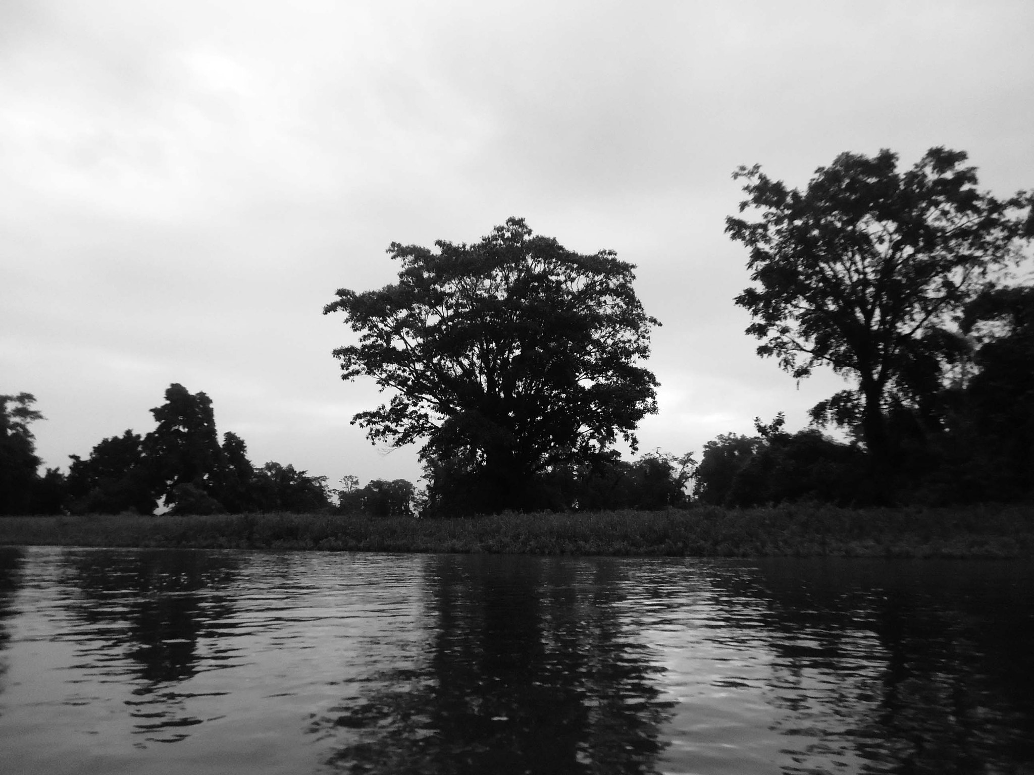 Sony Cyber-shot DSC-W330 sample photo. Dark photography