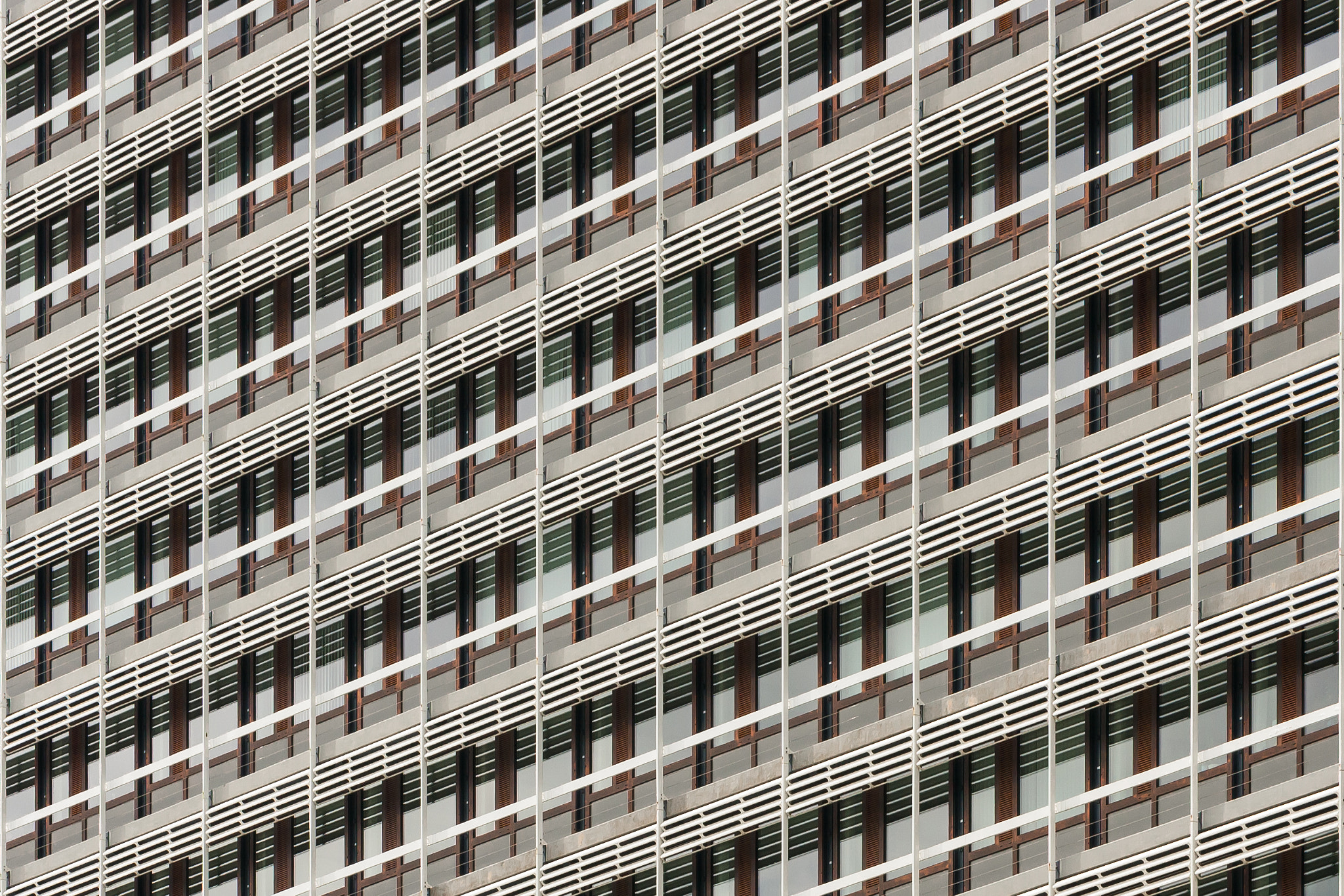Canon EF 100mm F2.8L Macro IS USM sample photo. "paragon of unity..." photography