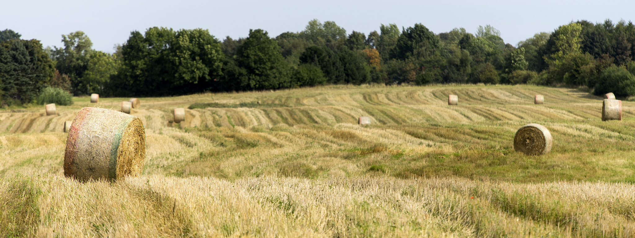 Tamron 18-270mm F3.5-6.3 Di II PZD sample photo. Harvest photography