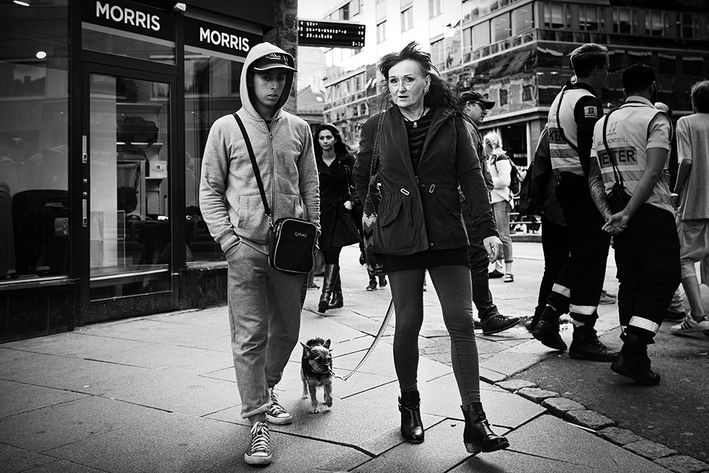 Panasonic Lumix DMC-GX85 (Lumix DMC-GX80 / Lumix DMC-GX7 Mark II) sample photo. Oslo 2016 photography