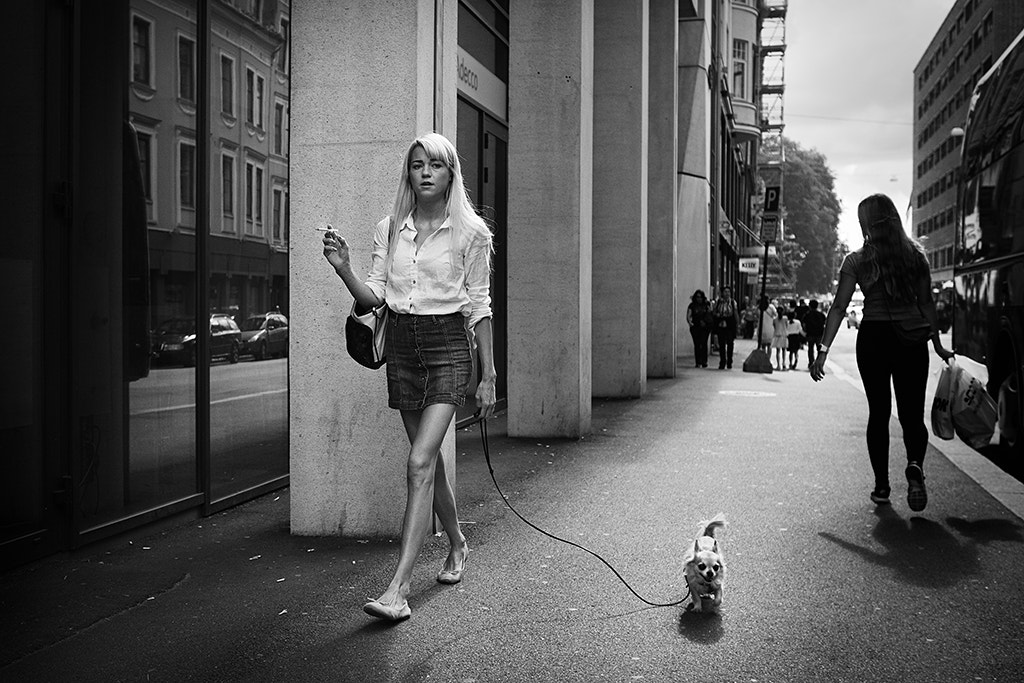 Panasonic Lumix DMC-GX85 (Lumix DMC-GX80 / Lumix DMC-GX7 Mark II) sample photo. Oslo 2016 photography