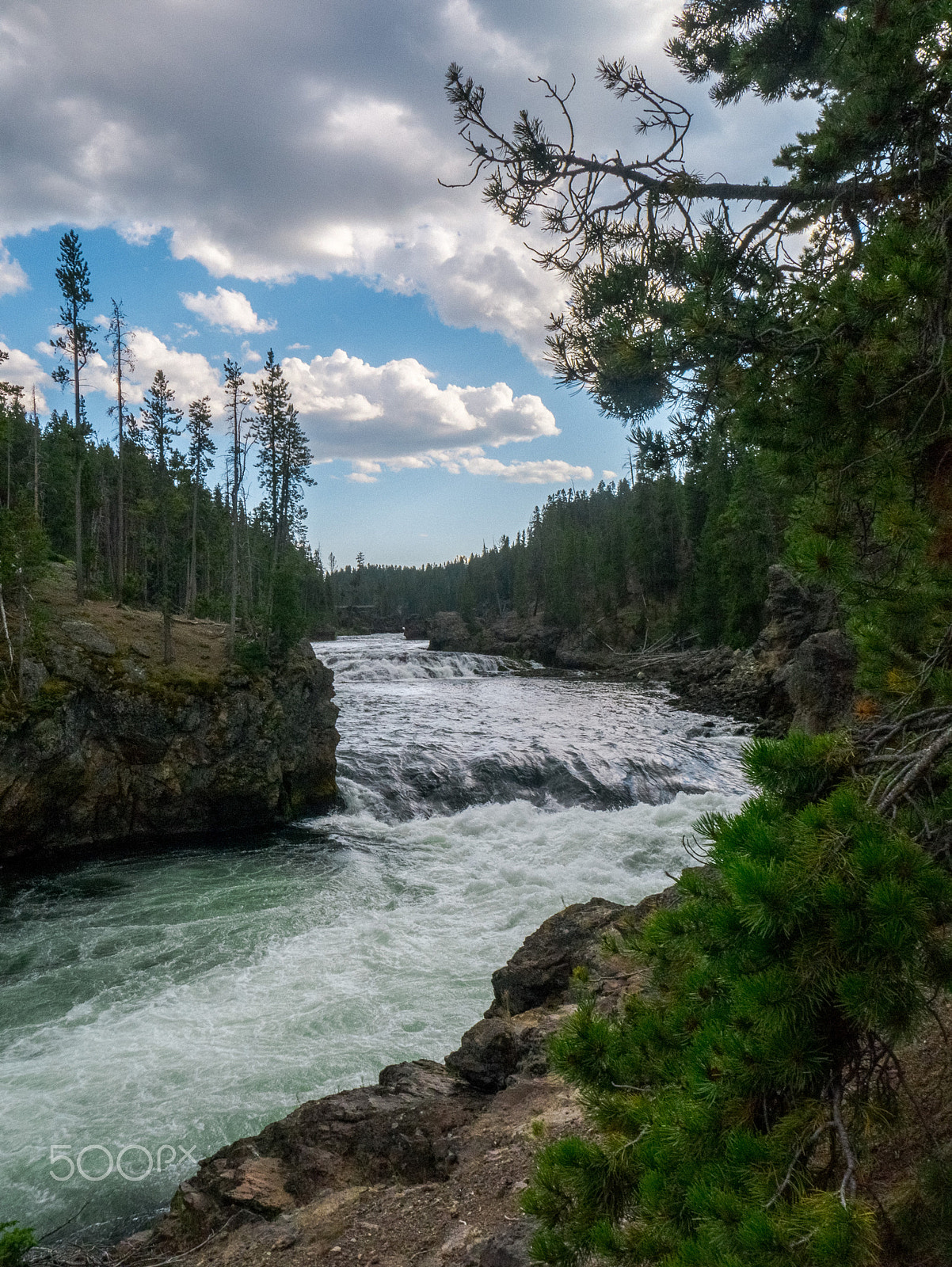 Panasonic Lumix DMC-GX1 sample photo. Brink of the lower falls, yellowstone national park photography